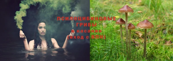 прущая мука Медвежьегорск