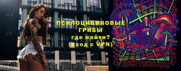прущая мука Медвежьегорск
