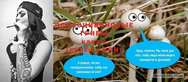 амф Мегион