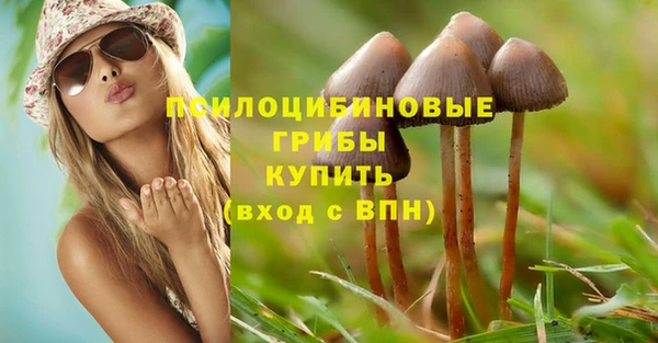 амф Мегион